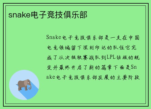 snake电子竞技俱乐部